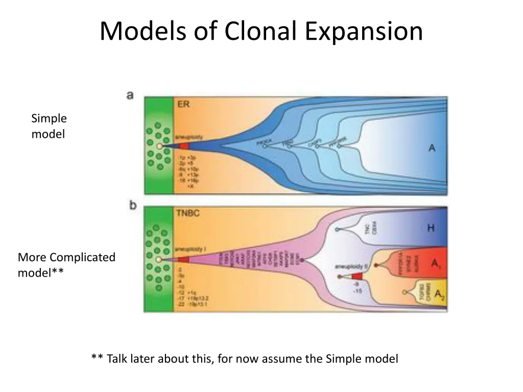 models of clonal expansion
