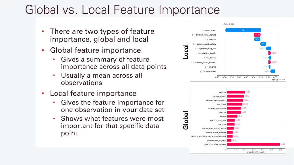 global vs local feature importance