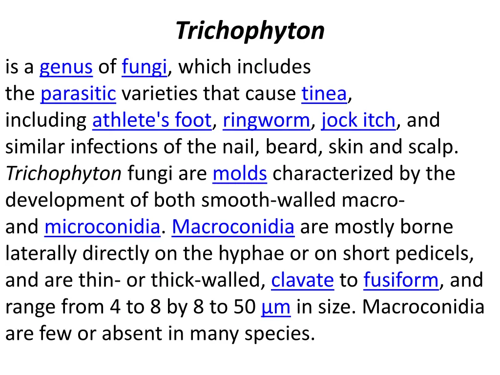 trichophyton