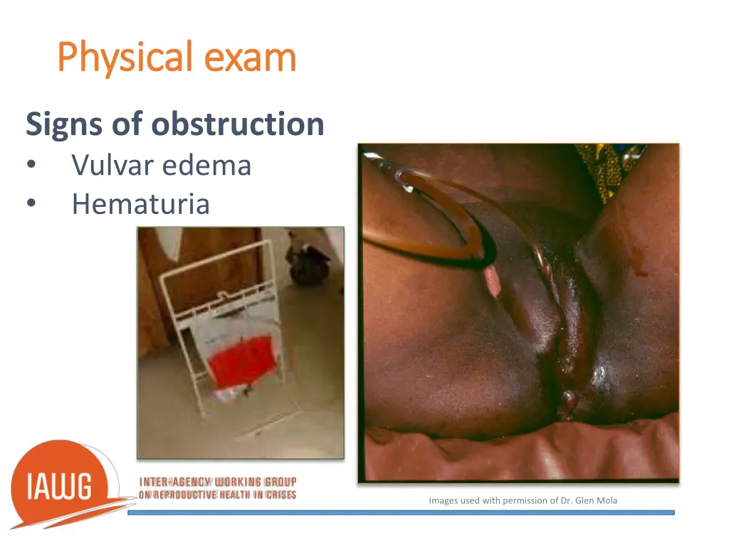physical exam physical exam 2