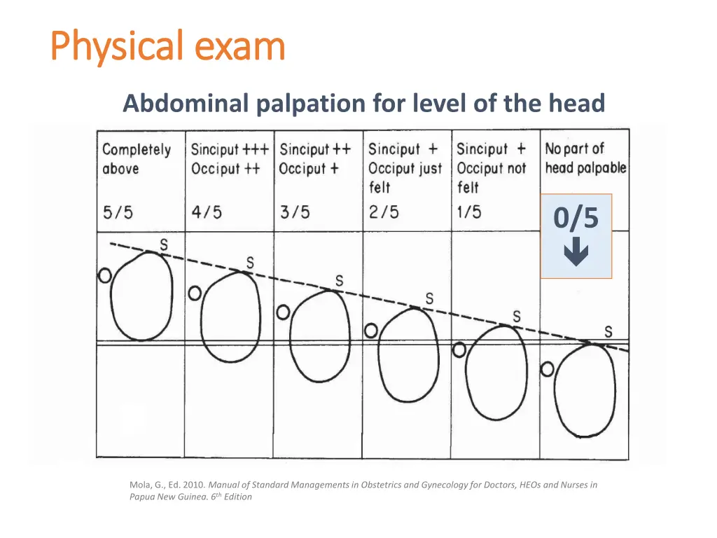 physical exam physical exam