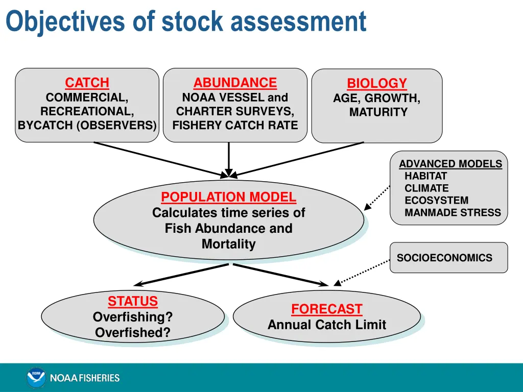 objectives of stock assessment