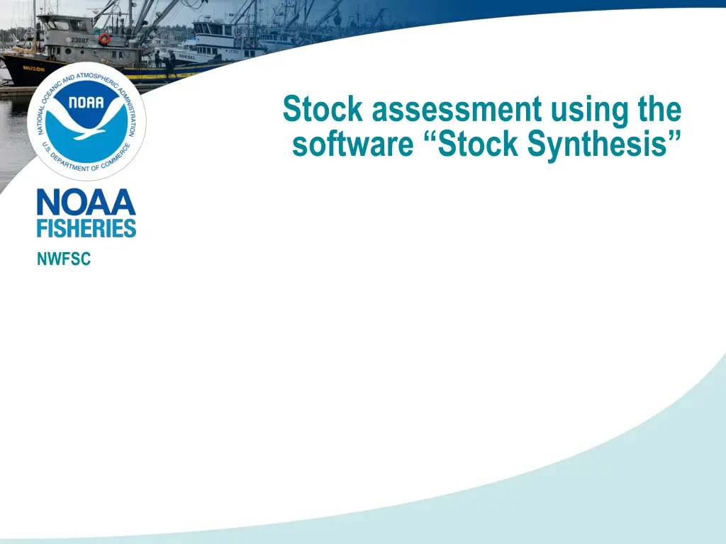 stock assessment using the software stock