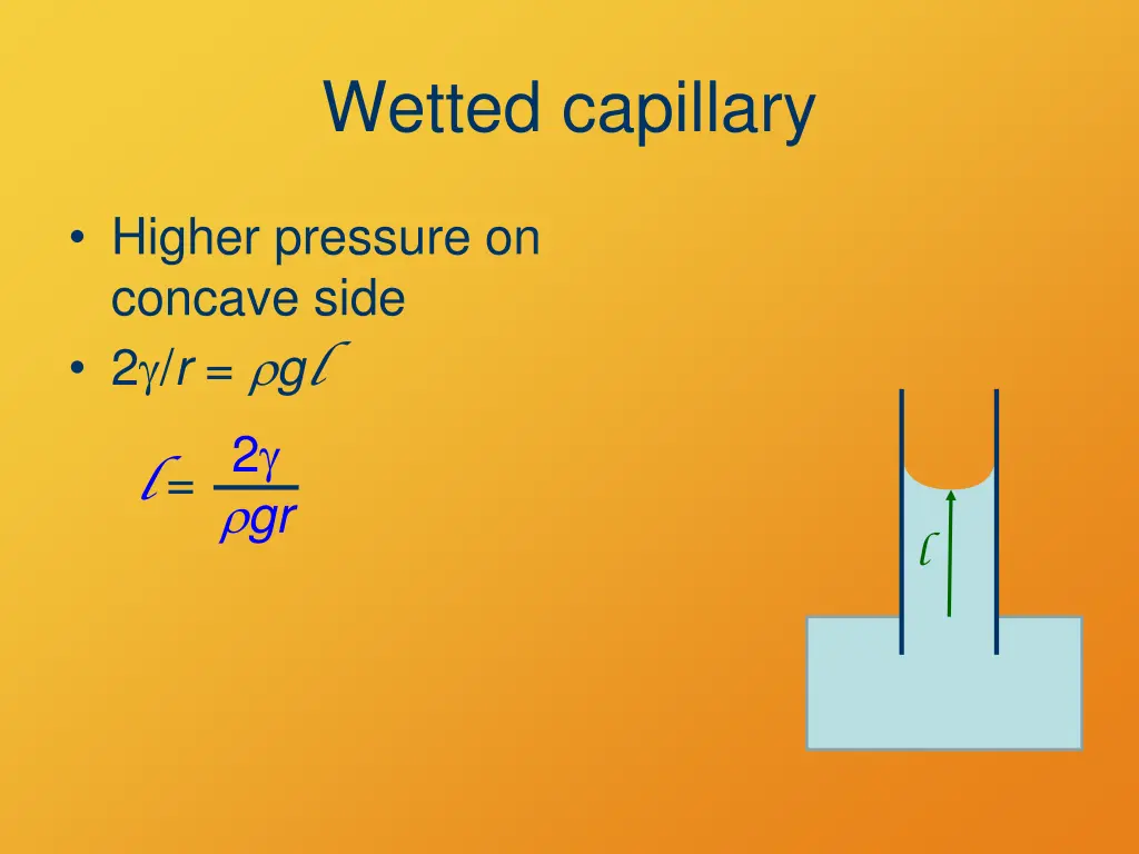wetted capillary