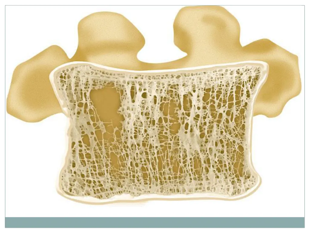 slide31