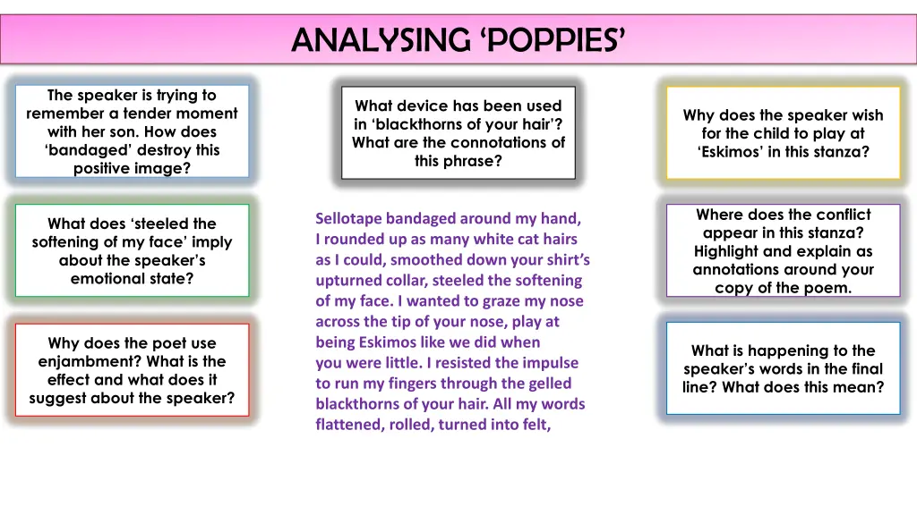 analysing poppies 1