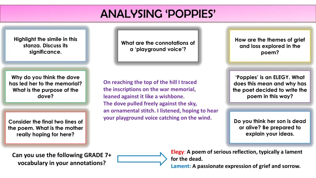 analysing poppies 3
