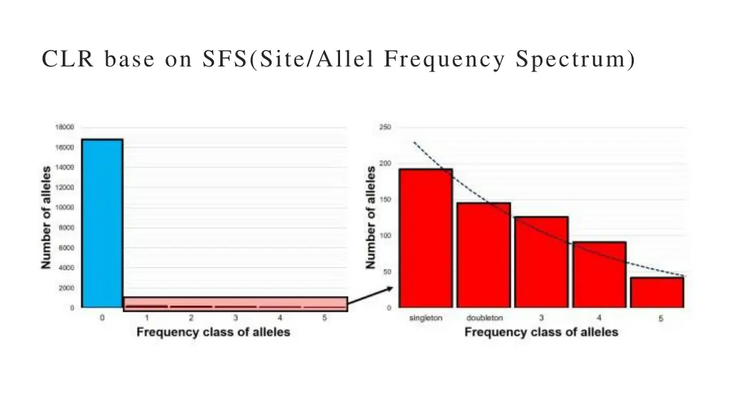 clr base on sfs site allel frequency spectrum