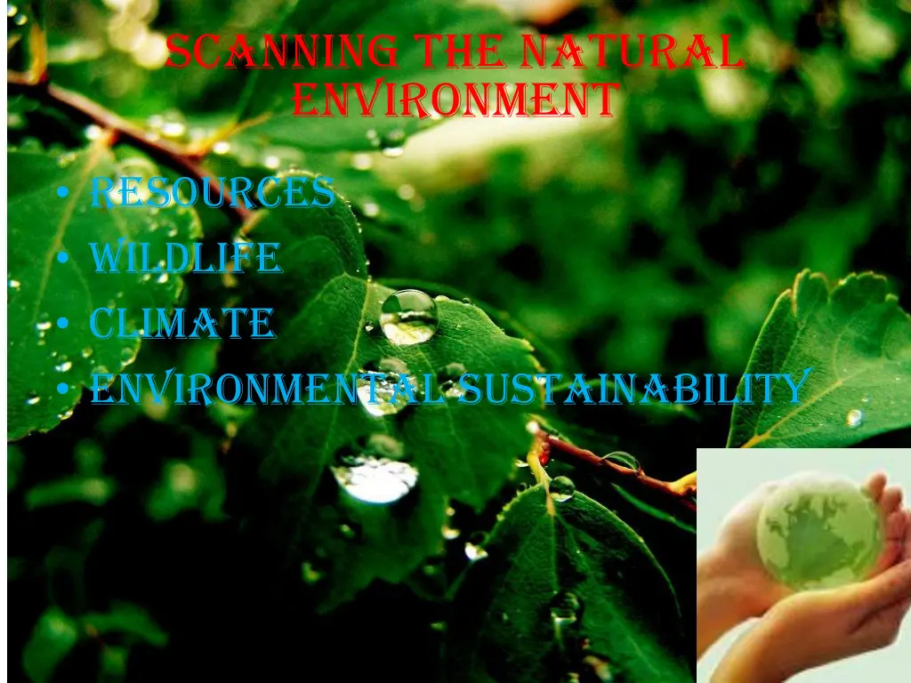 scanning the natural environment