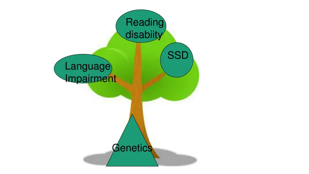 reading disabiity