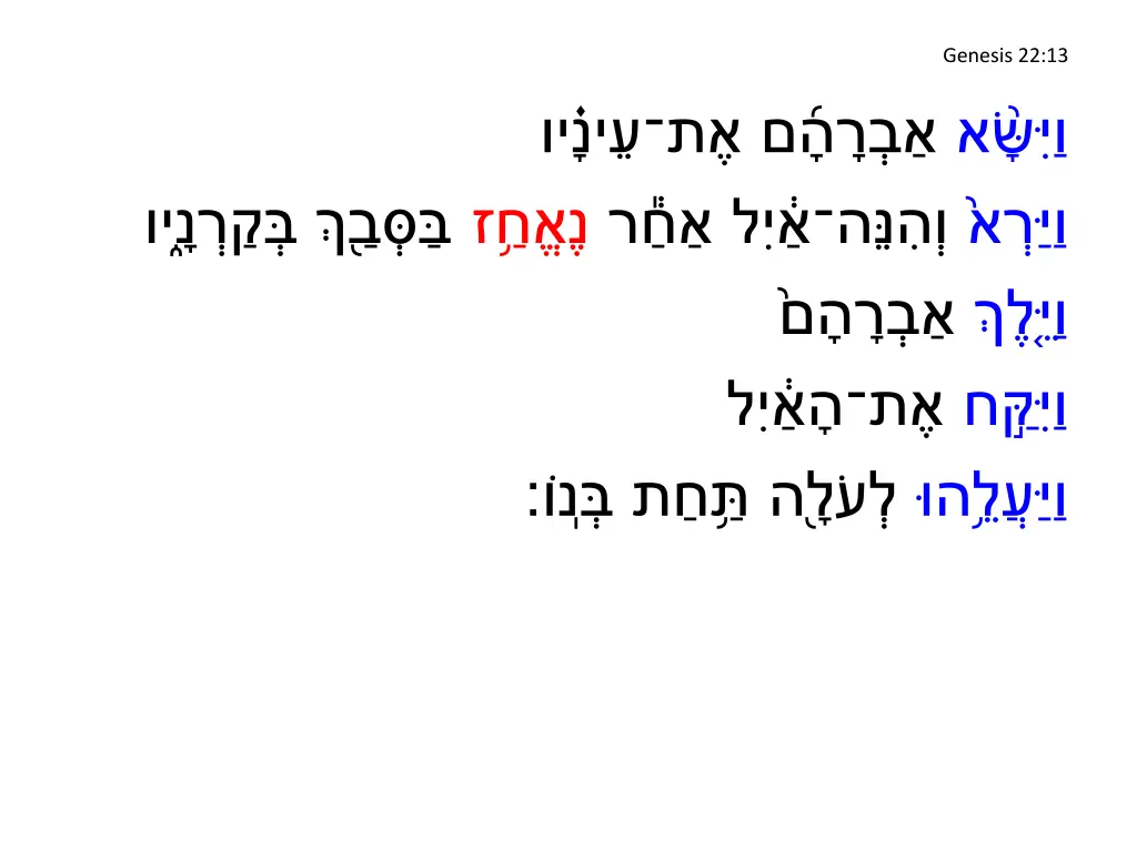 genesis 22 13