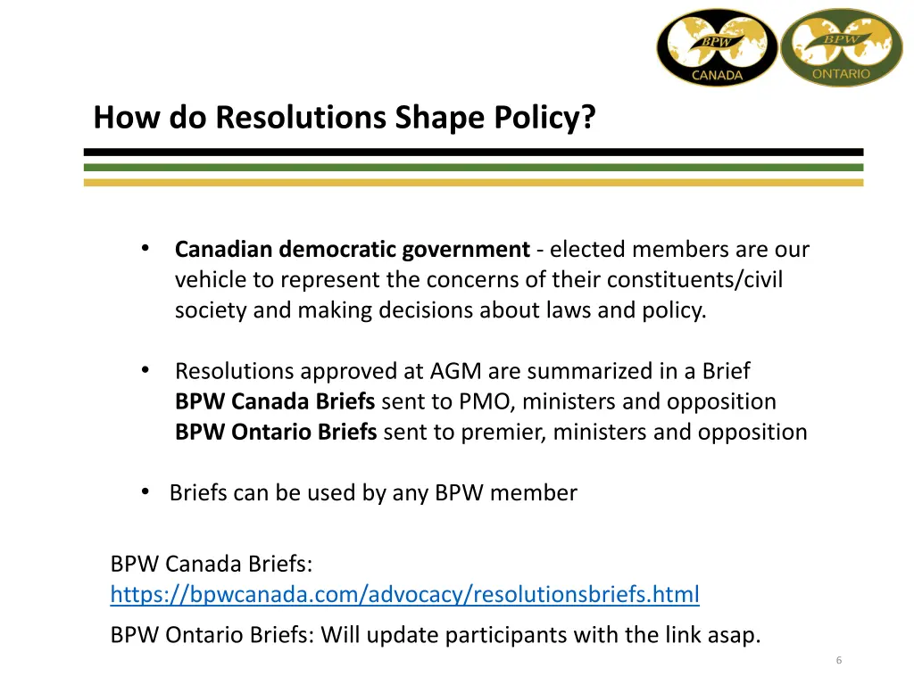 how do resolutions shape policy