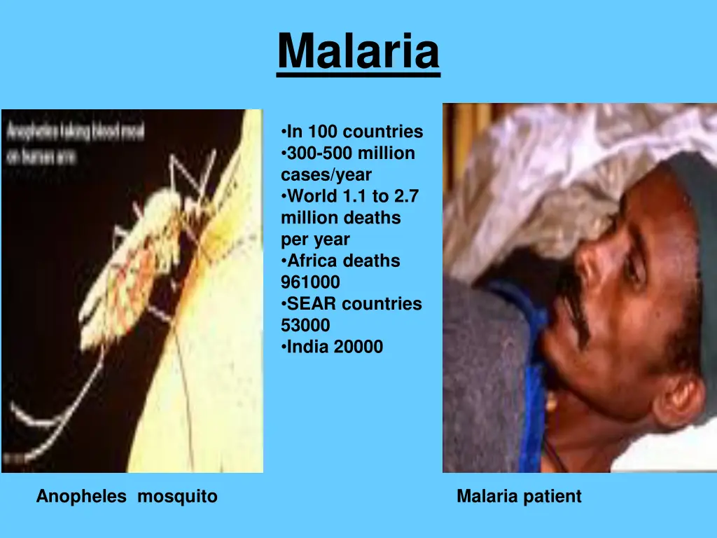 malaria