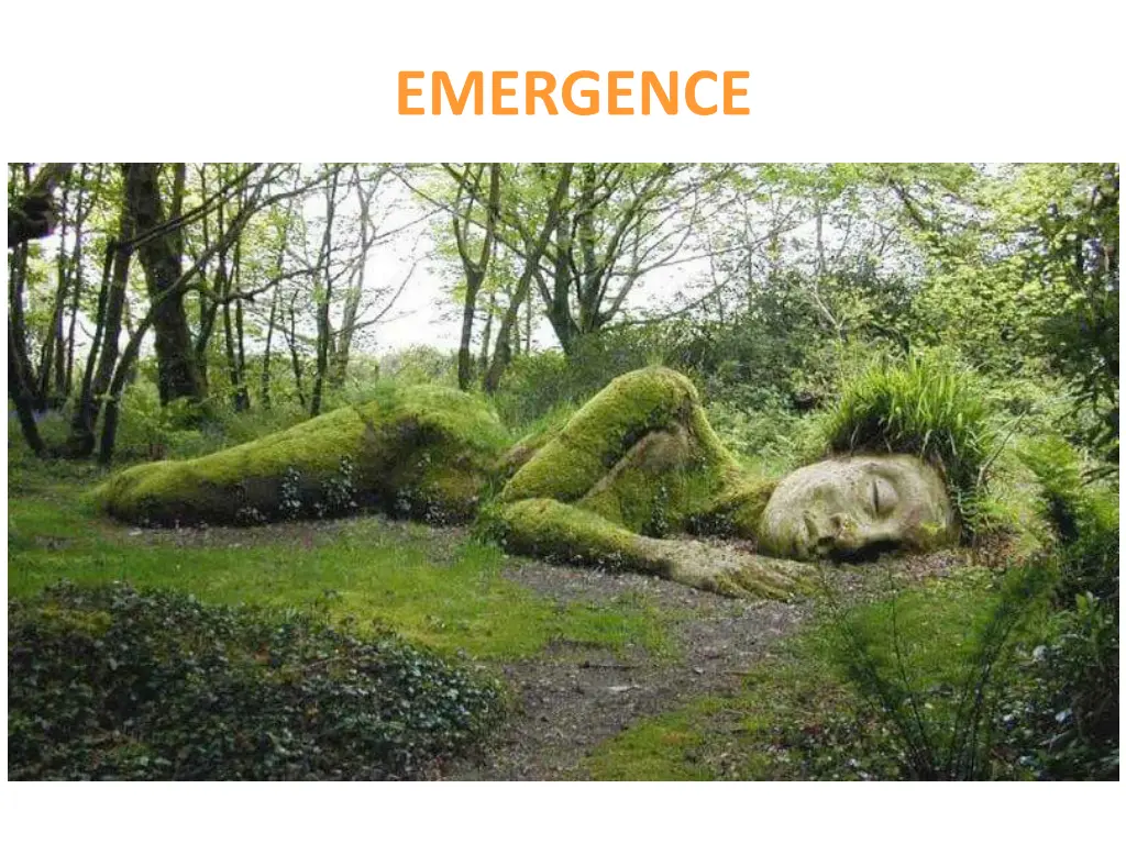 emergence