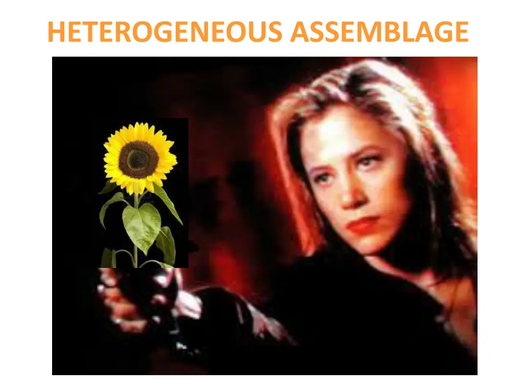 heterogeneous assemblage