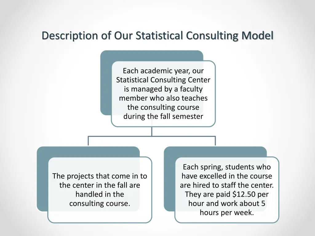 description of our statistical consulting model