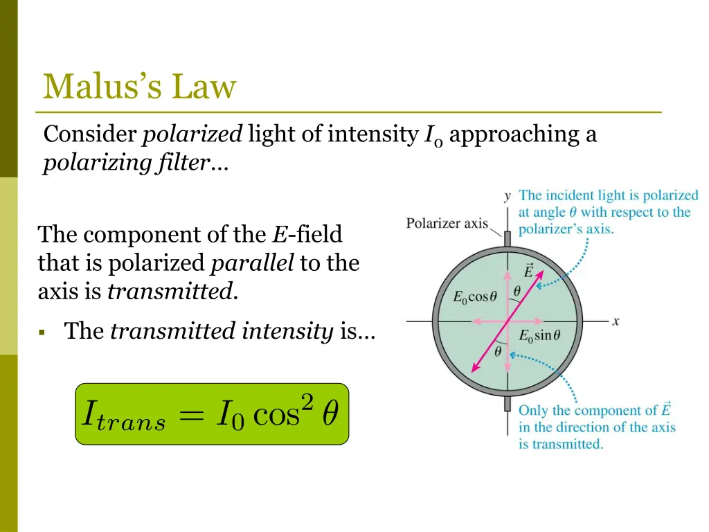 malus s law