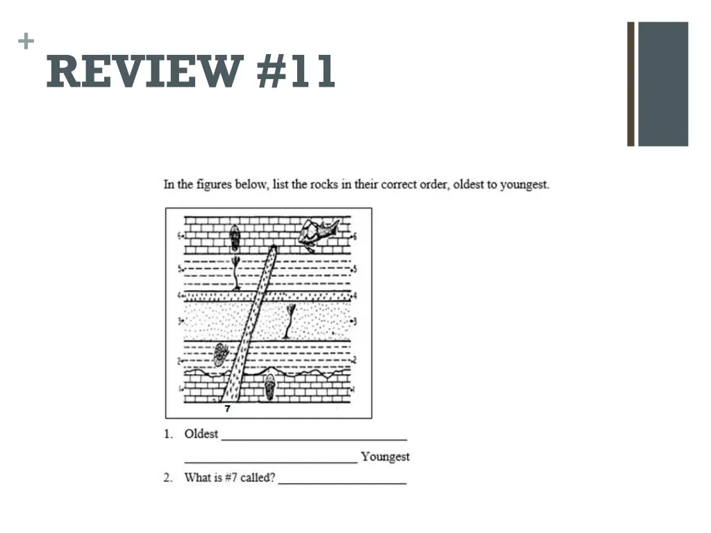 review 11