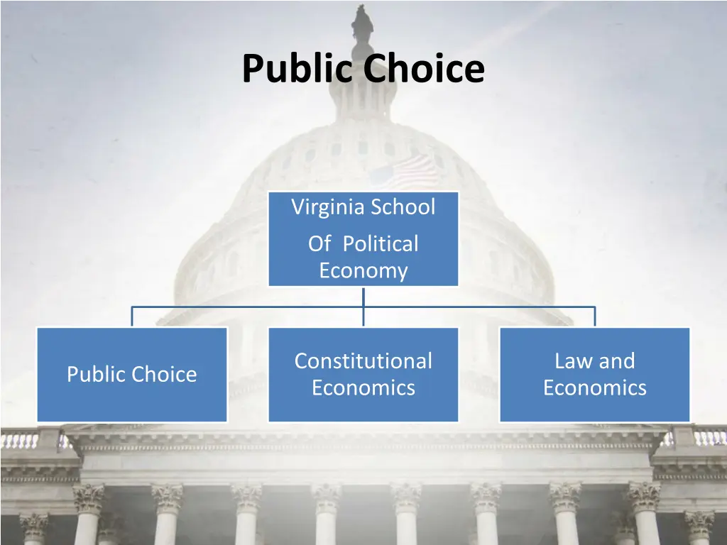 public choice 2