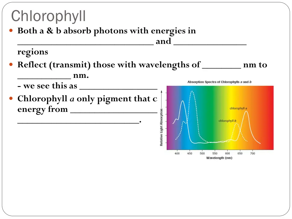 chlorophyll both a b absorb photons with energies