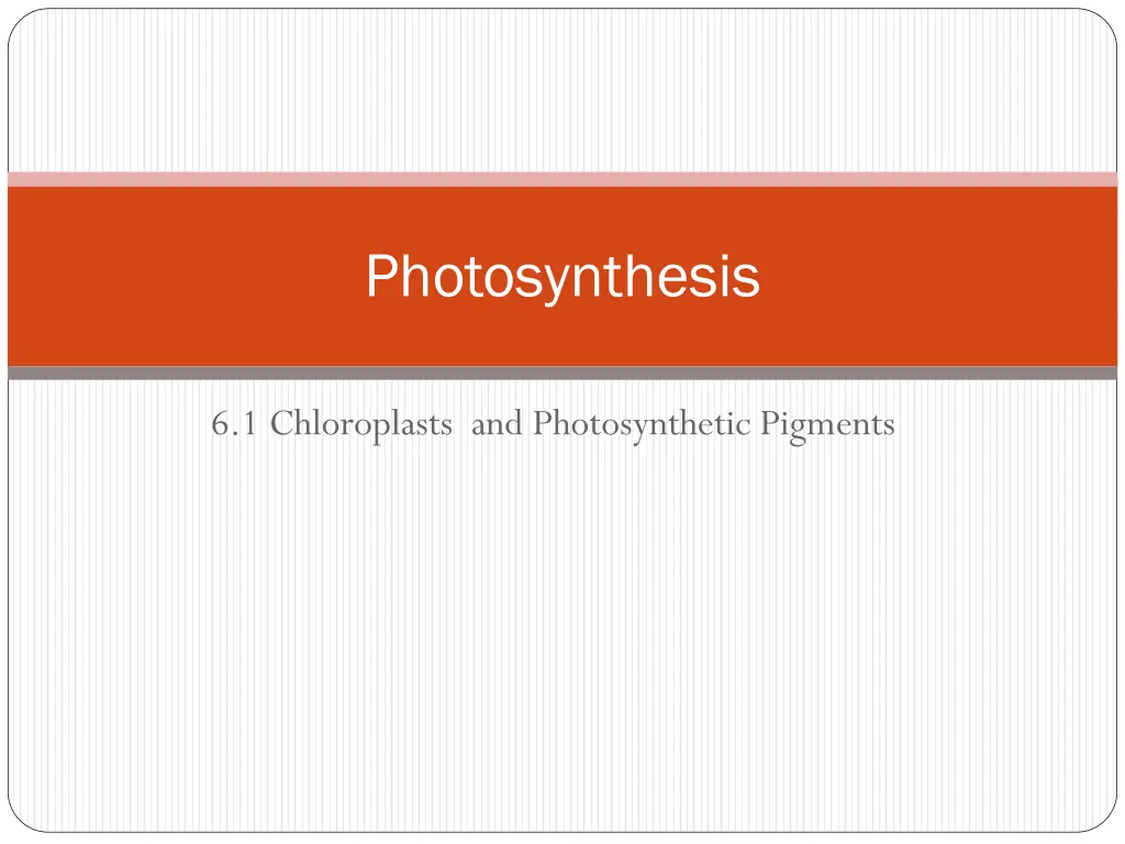 photosynthesis
