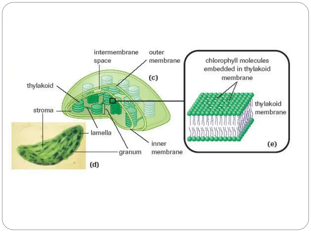 slide9