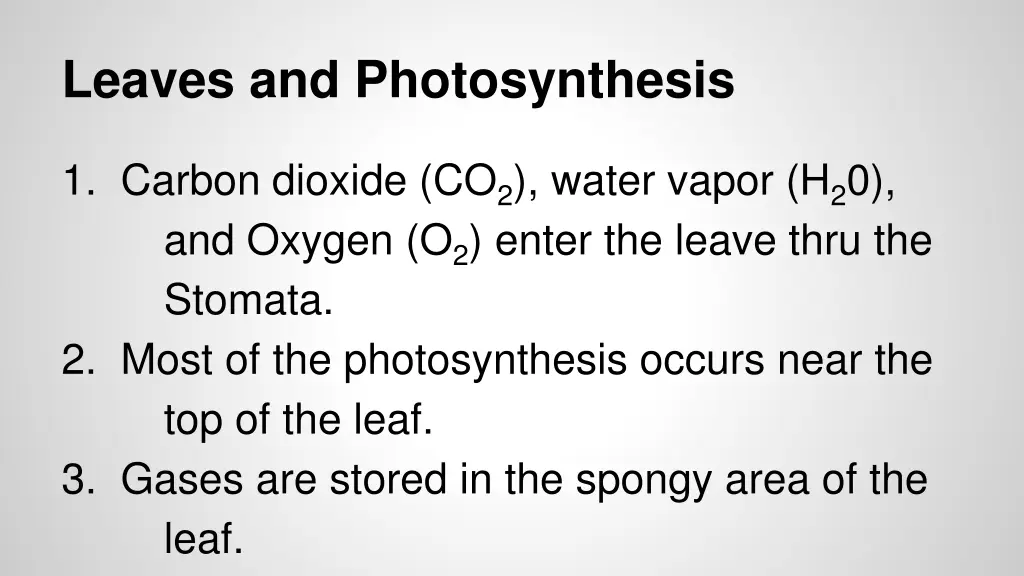 leaves and photosynthesis