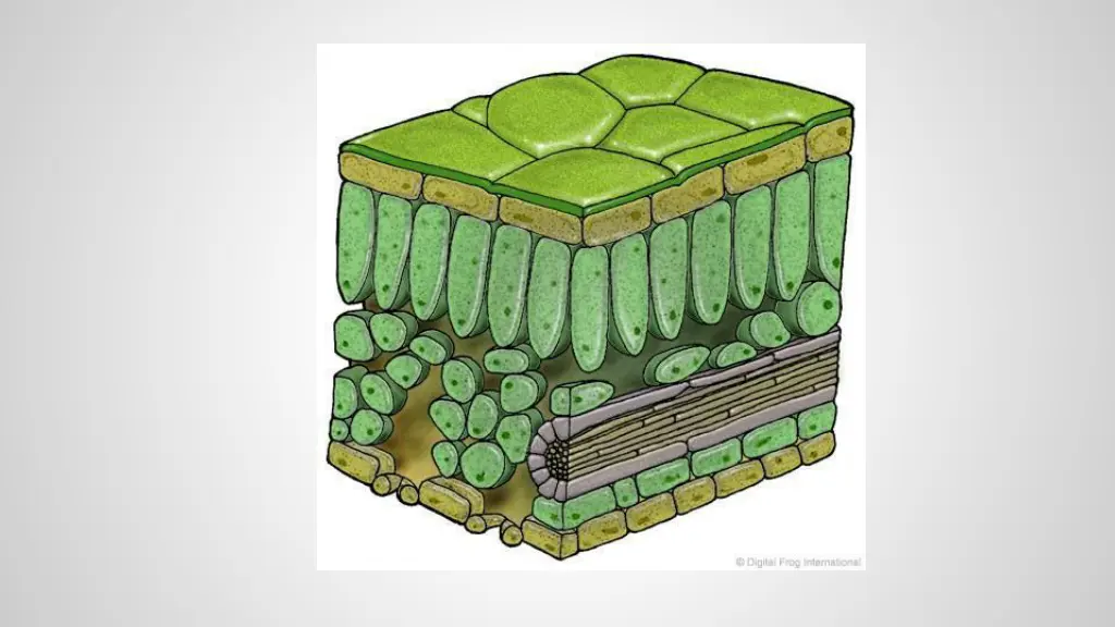 slide5