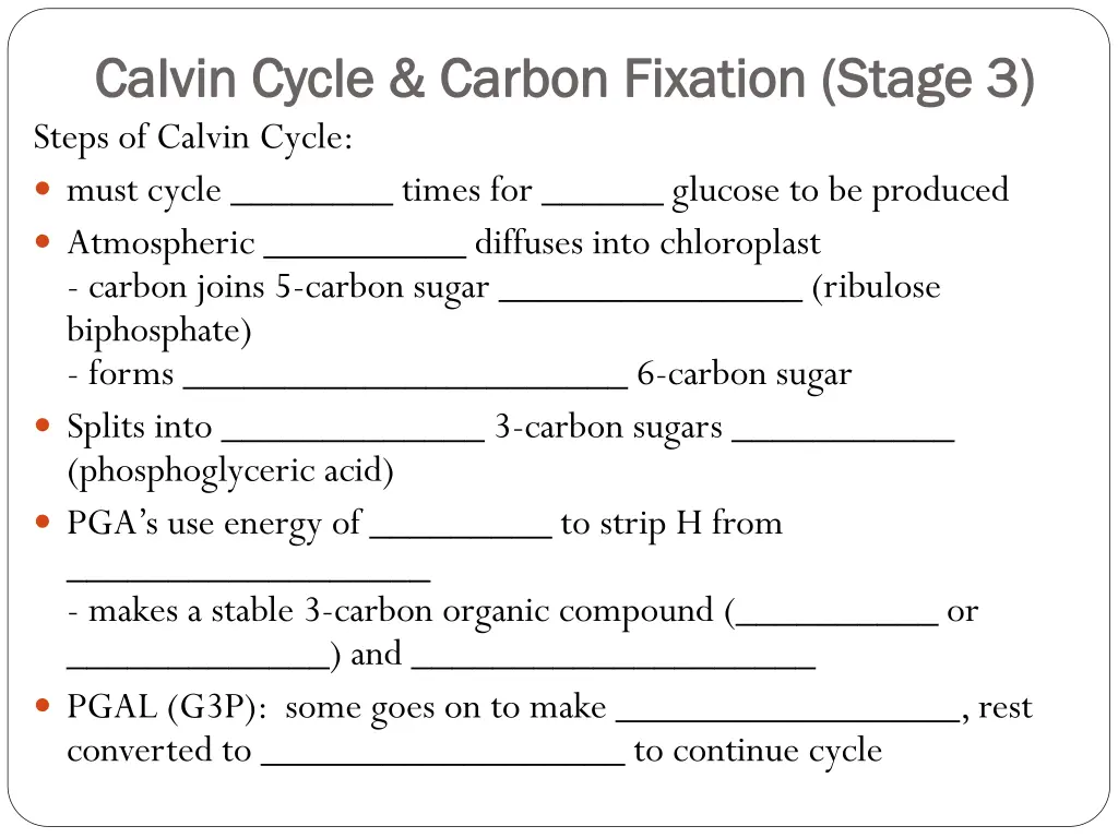 calvin cycle carbon fixation stage 3 calvin cycle 1