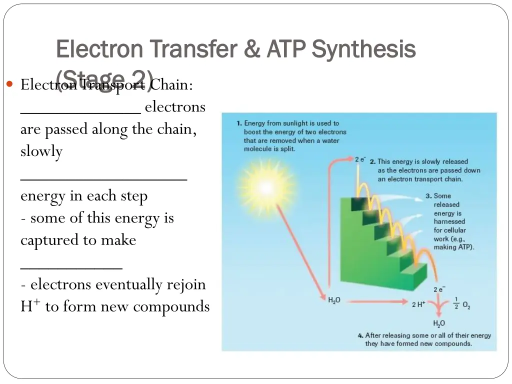 electron transfer atp synthesis electron transfer