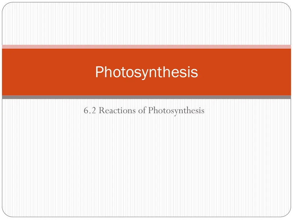 photosynthesis