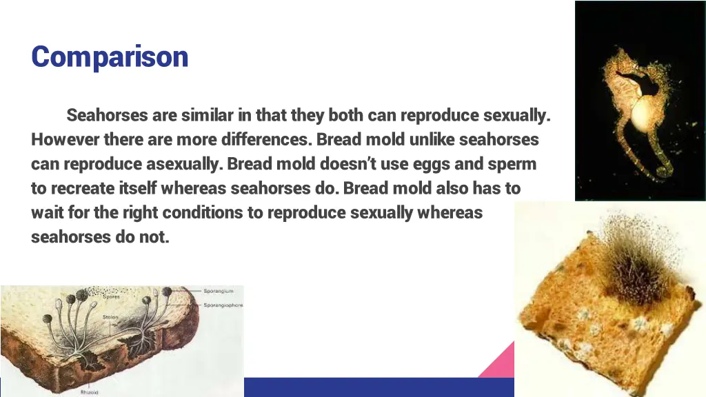 comparison