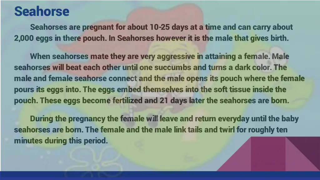seahorse seahorses are pregnant for about