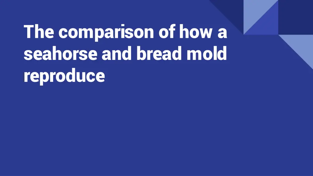the comparison of how a seahorse and bread mold