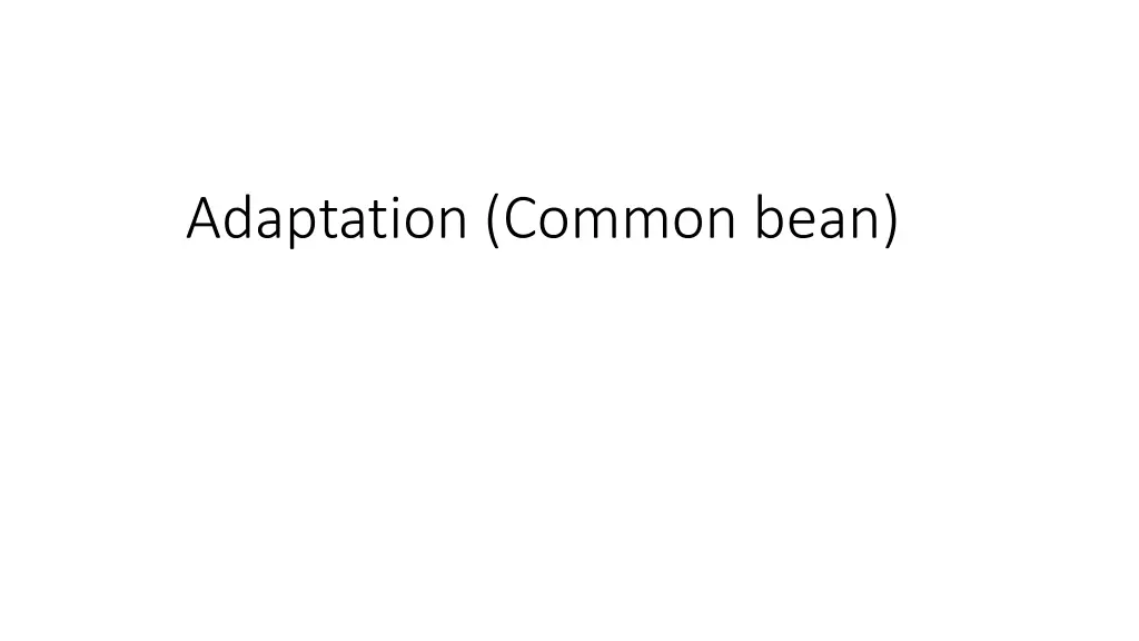 adaptation common bean