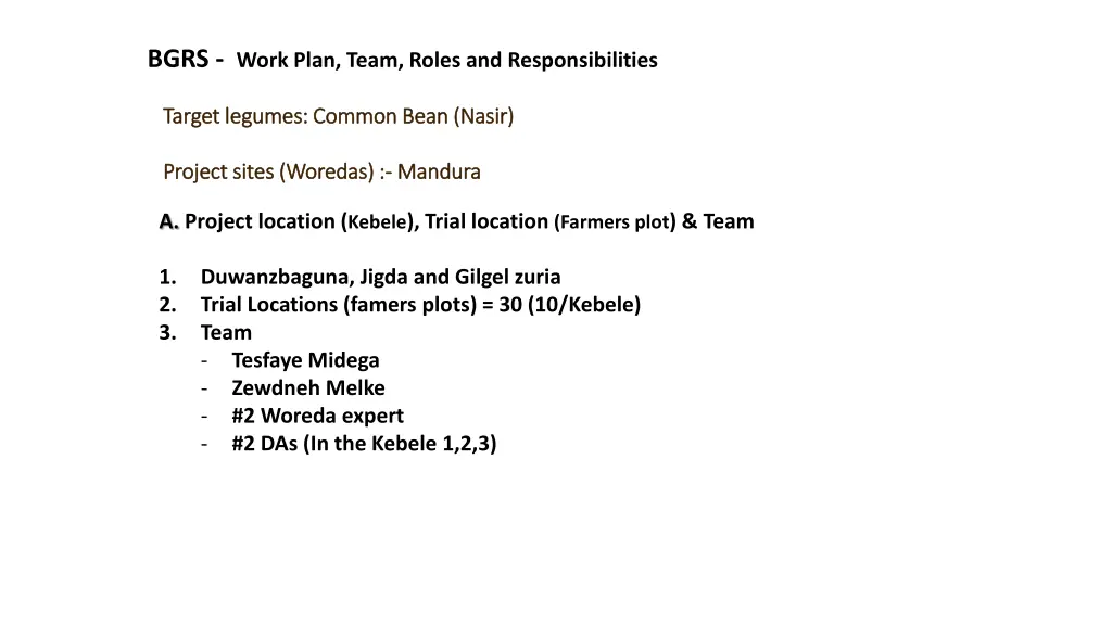 bgrs work plan team roles and responsibilities 1