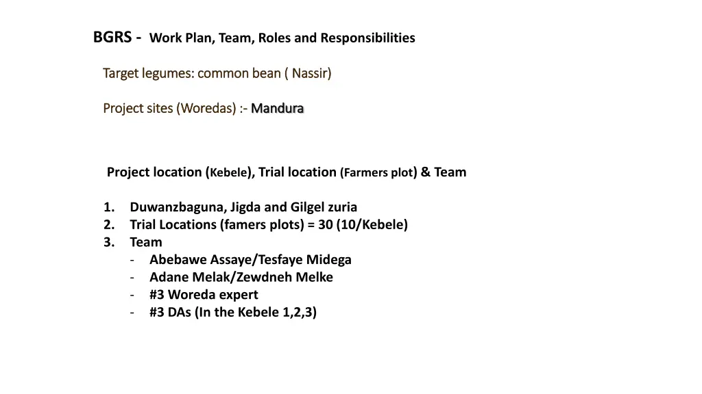 bgrs work plan team roles and responsibilities 2