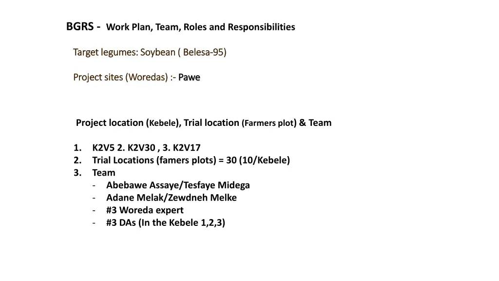 bgrs work plan team roles and responsibilities 3
