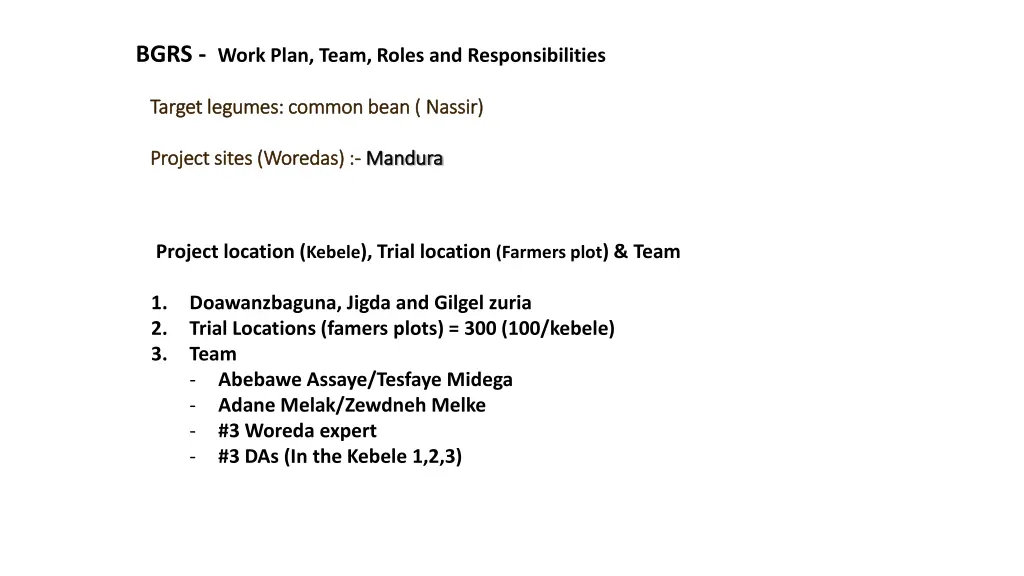 bgrs work plan team roles and responsibilities 4