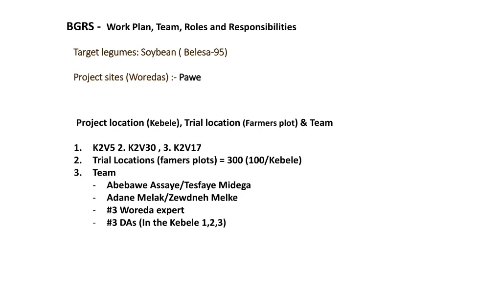 bgrs work plan team roles and responsibilities 5