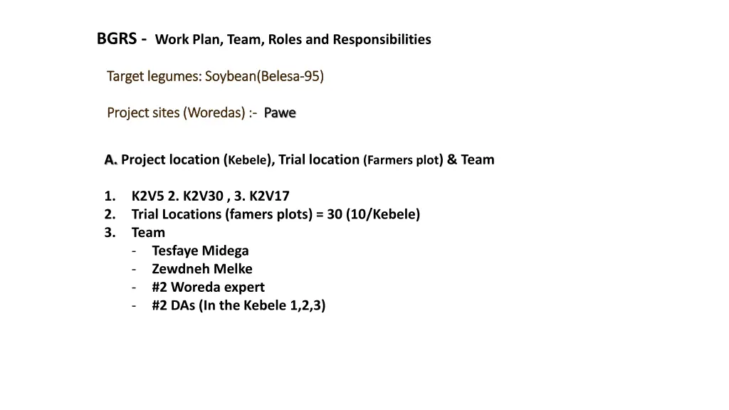 bgrs work plan team roles and responsibilities
