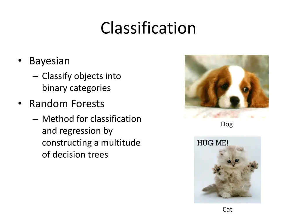 classification