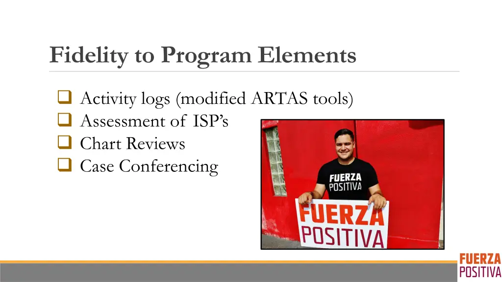 fidelity to program elements
