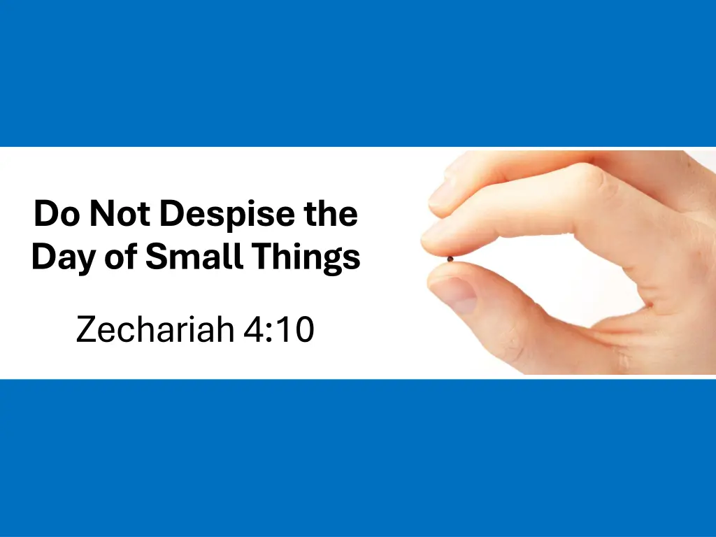 do not despise the day of small things
