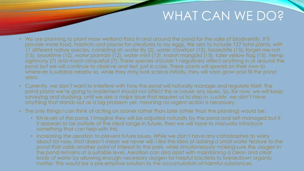 what can we do