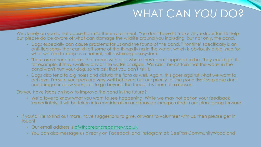 what can you do