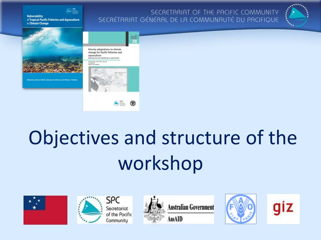 objectives and structure of the workshop