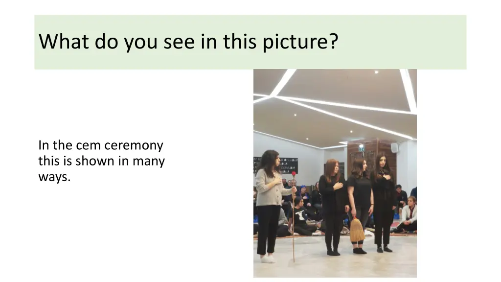 what do you see in this picture