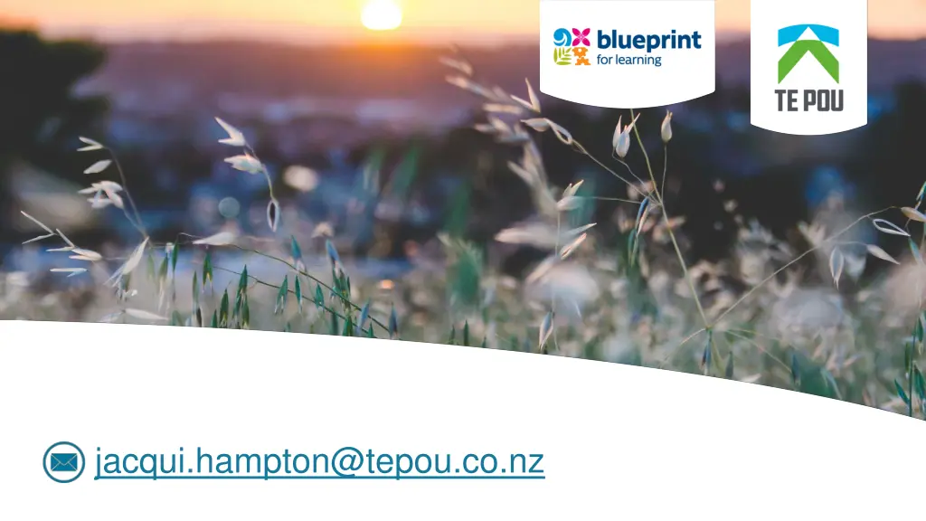 jacqui hampton@tepou co nz
