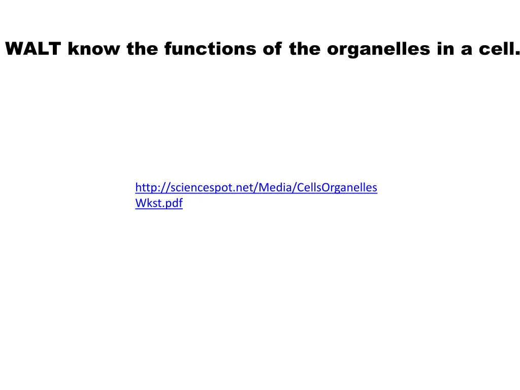 walt know the functions of the organelles
